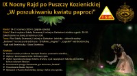 W POSZUKIWANIU KWIATU PAPROCI